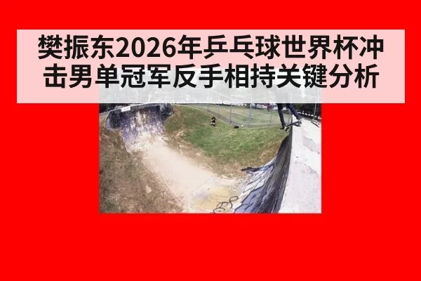 樊振东2026年乒乓球世界杯冲击男单冠军反手相持关键分析